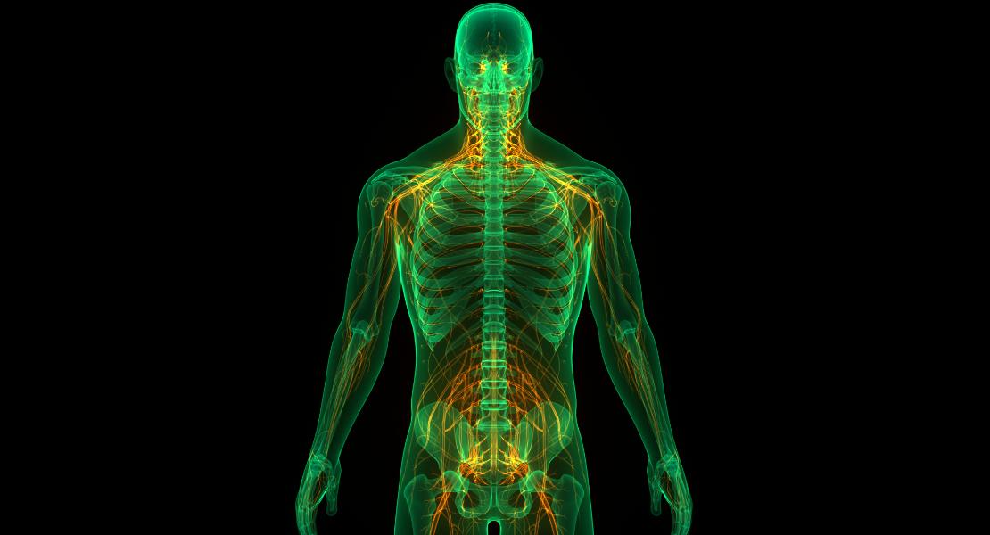 Chronic and Acute Musculoskeletal Conditions 