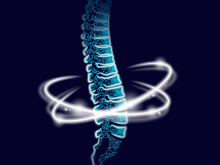 Spine